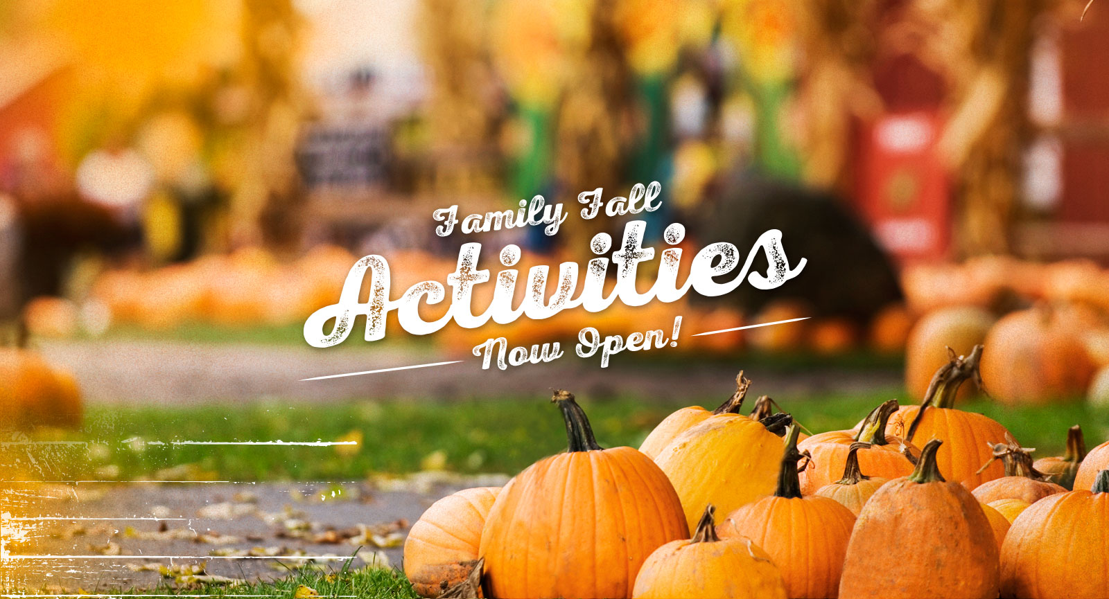 Fall Activities Fall Activities