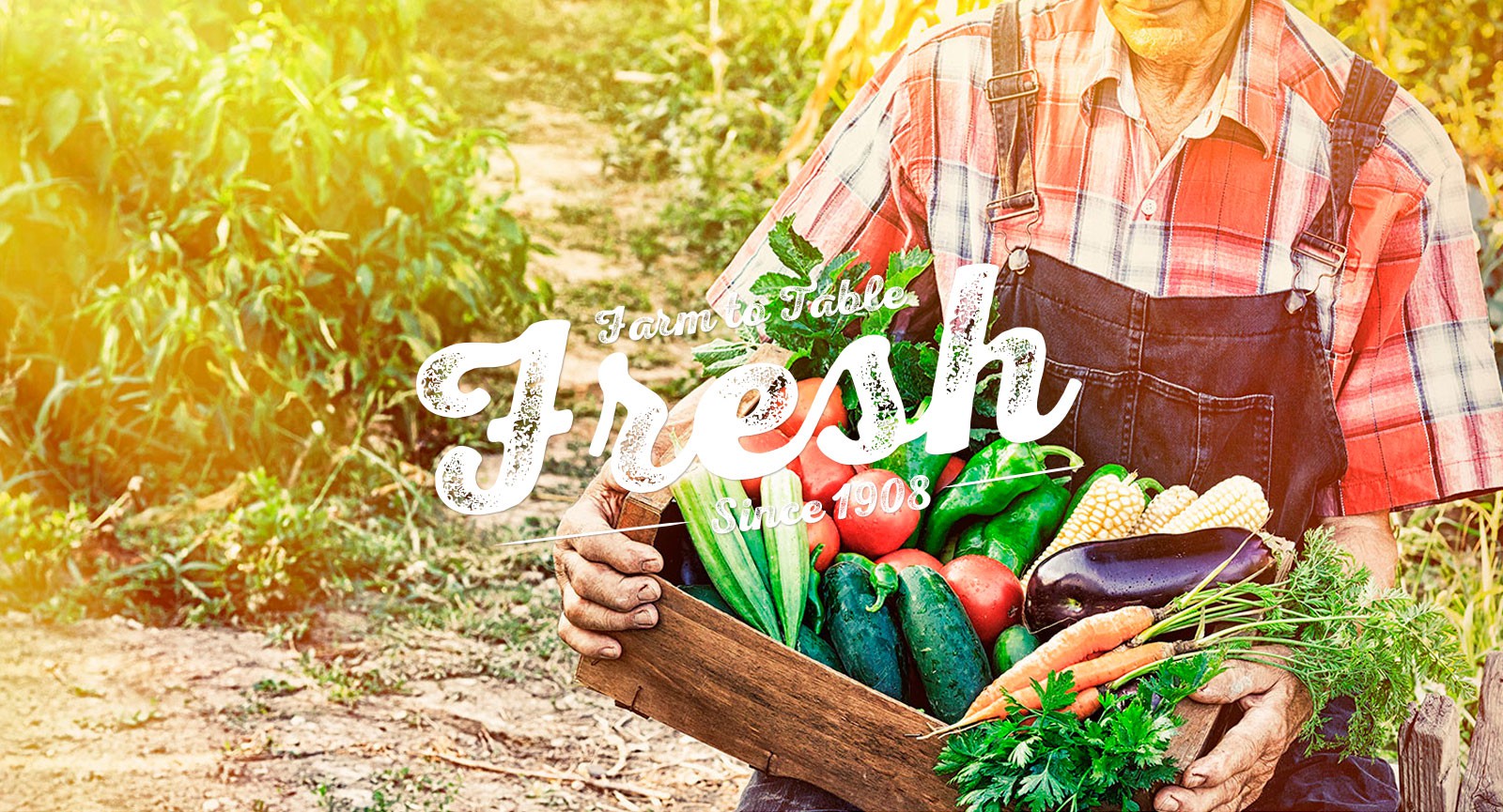 Farm to Table Fresh Farm to Table Fresh