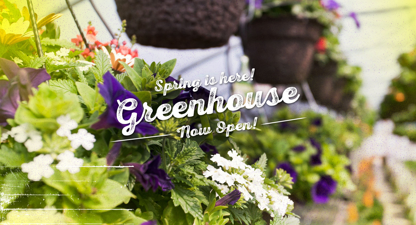 Greenhouse Now Open