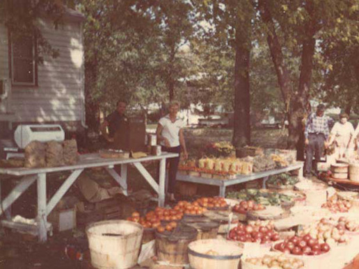 Man holding tomatoes