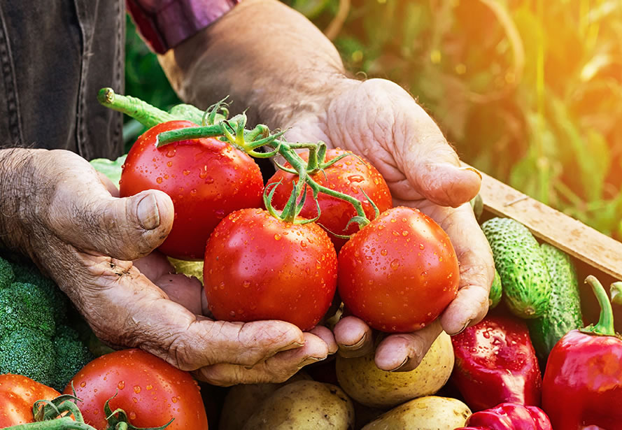 Man holding tomatoes